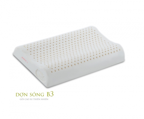 Dợn sóng B3