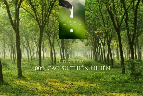 Hướng dẫn sử dụng và bảo quản nệm cao su
